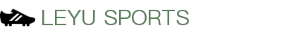 乐鱼体育 - LEYU SPORTS中国官方网站