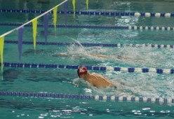 张雨霏自由泳赛段发力迅速，张雨霏自由泳实力