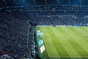 陈佳50米蝶泳半程领先奠定胜局，50米蝶泳成绩