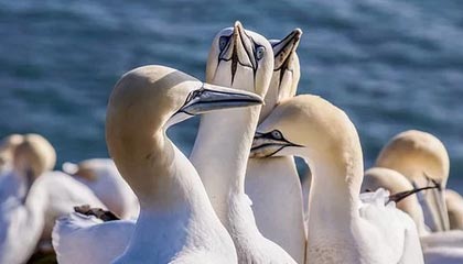 乐鱼体育平台登录-世界青少年水上漂移锦标赛在青岛掀起高潮，水上漂流运动