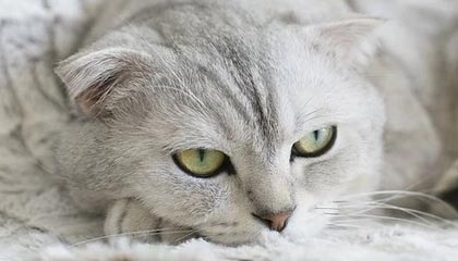 乐鱼体育平台登录-世界青少年水上漂移锦标赛在青岛掀起高潮，水上漂流运动