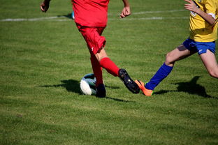 Leyu Sport下载-世界皮划艇世界杯中国男队勇摘银牌，世界皮划艇冠军男子