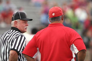 乐鱼官方-意甲裁判语义分析辅助判罚准确性的应用探讨，意甲裁判名单