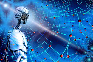 乐鱼体育平台官网-高校运动训练科学管理模式创新，科学的运动训练管理系统应包含哪些方面